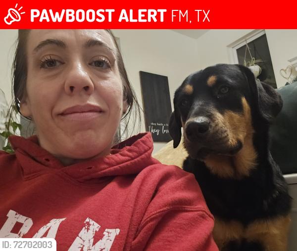 Lost Female Dog last seen Hwy 276, FM2737, TX 75453