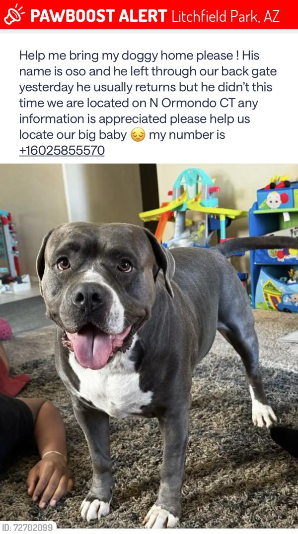 Lost Male Dog last seen El mirage and camelback Rd , Litchfield Park, AZ 85340