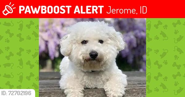 Lost Male Dog last seen Near S & 300 W, Jerome, ID 83338