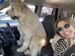Lost Male Dog last seen Breckenridge Lane, Louisville, KY 40220