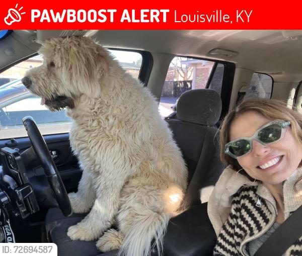 Lost Male Dog last seen Breckenridge Lane, Louisville, KY 40220