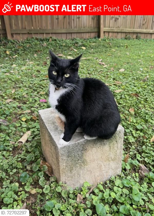 Lost Female Cat last seen Semmes between Connally & Norman Berry, East Point, GA 30344