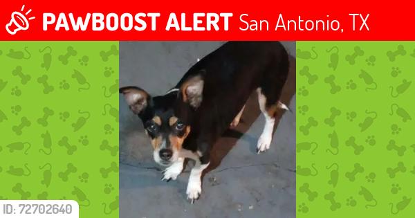 Lost Female Dog last seen Medical horizon hill, San Antonio, TX 78207