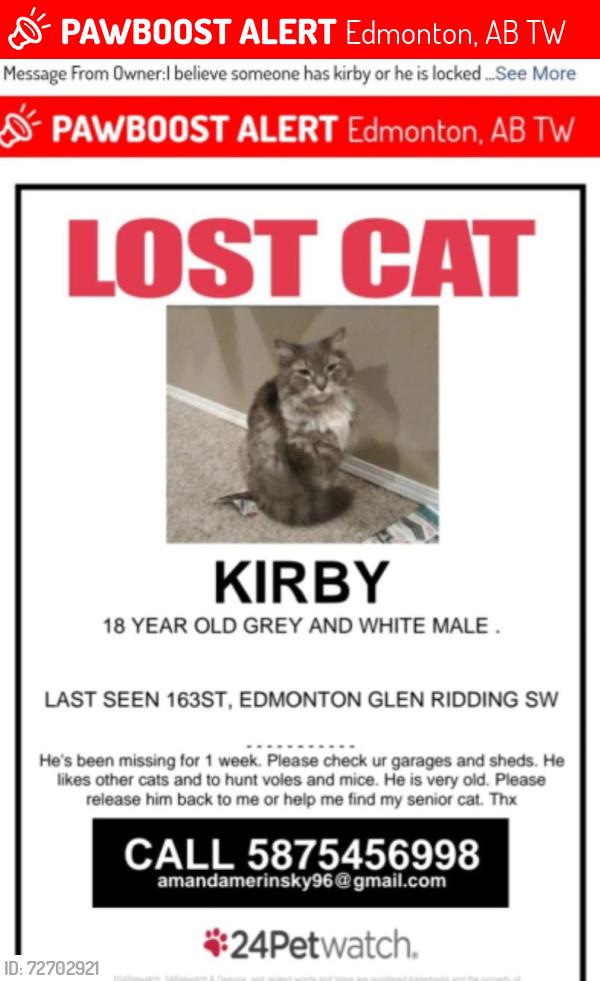 Lost Male Cat last seen Gren riding s, Edmonton, AB T6W