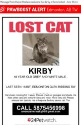 Lost Male Cat last seen Gren riding s, Edmonton, AB T6W
