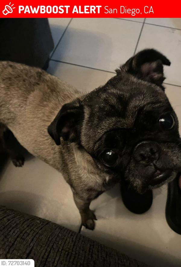 Lost Female Dog last seen Encanto, San Diego, CA 92114