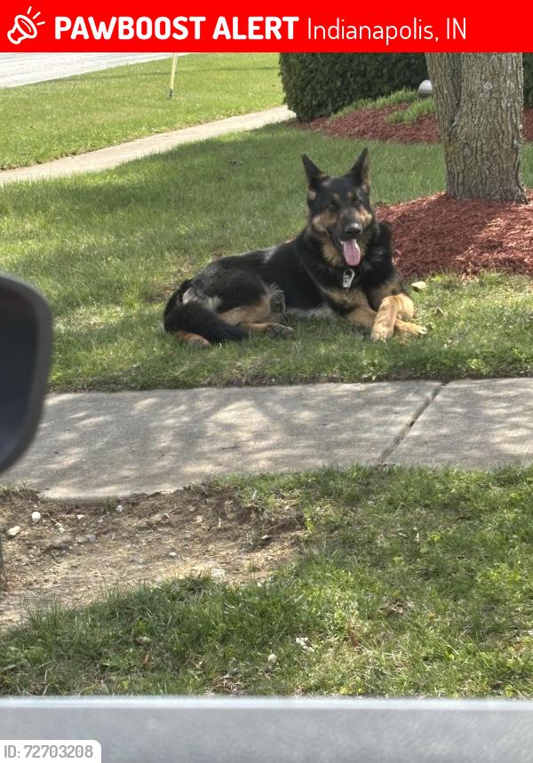 Lost Unknown Dog last seen 38th Carroll farms dr, Indianapolis, IN 46235