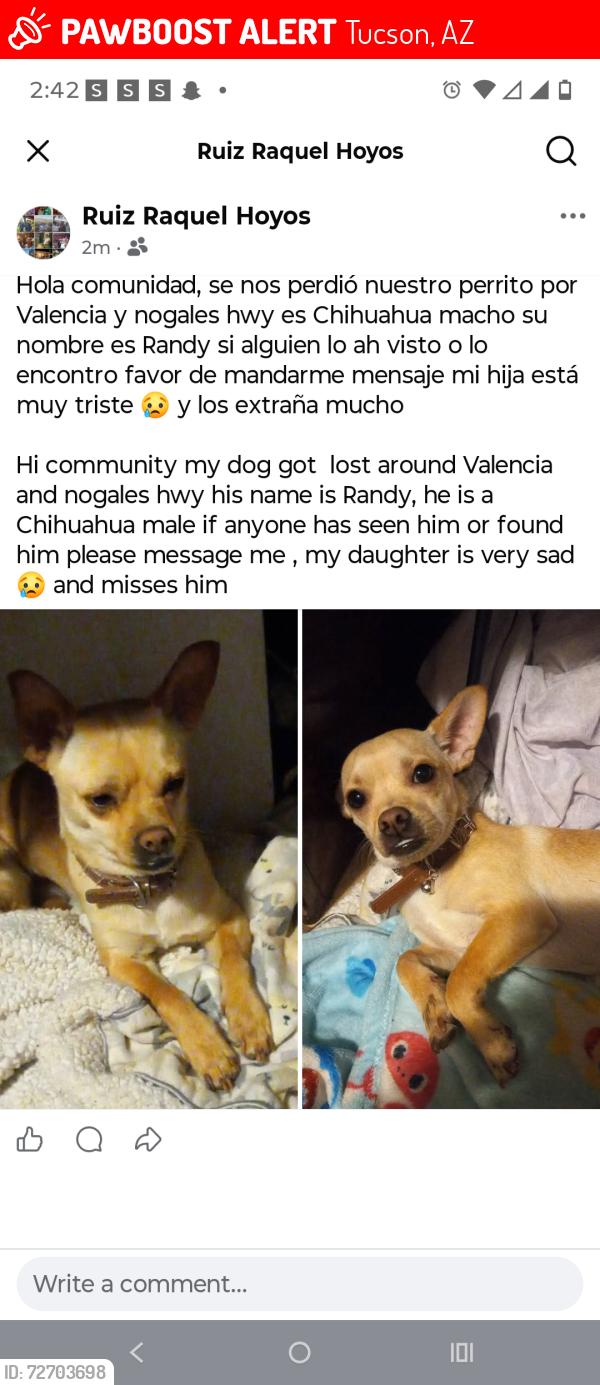 Lost Male Dog last seen Valencia and nogales hwy , Tucson, AZ 85706
