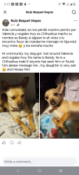 Lost Male Dog last seen Valencia and nogales hwy , Tucson, AZ 85706
