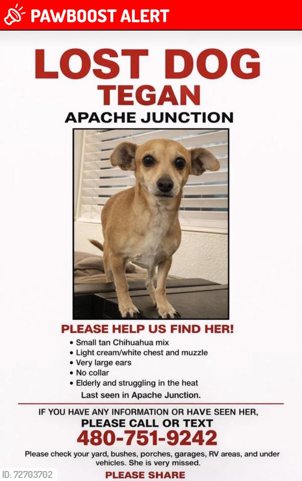Lost Female Dog last seen Signal Butte & University, Apache Junction, AZ 85120
