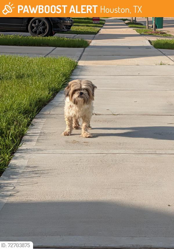 Found/Stray Unknown Dog last seen Bright Sun Drive, Houston, TX 77048