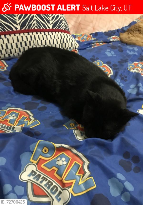 Lost Male Cat last seen Chatham Street & Chrystal ave Wvc ut 84119, Salt Lake City, UT 84119