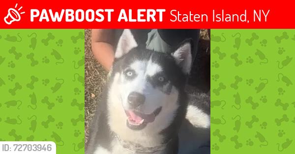 Lost Male Dog last seen New dorp, Staten Island, NY 10306