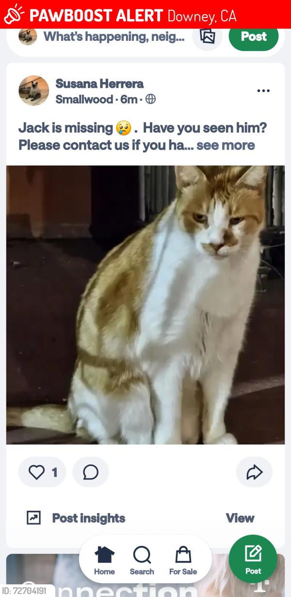 Lost Male Cat last seen Cecilia St.   and.    Richeon, Downey, CA 90241