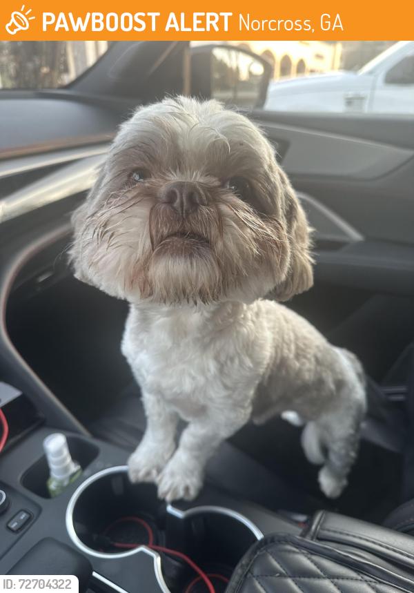 Found/Stray Male Dog last seen Gemini st , Norcross, GA 30071