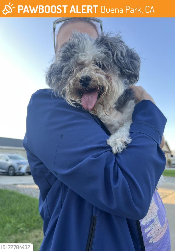 Found/Stray Unknown Dog last seen Near clark way buena park ca, Buena Park, CA 90620