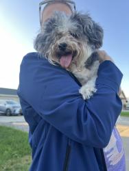 Found/Stray Unknown Dog last seen Near clark way buena park ca, Buena Park, CA 90620