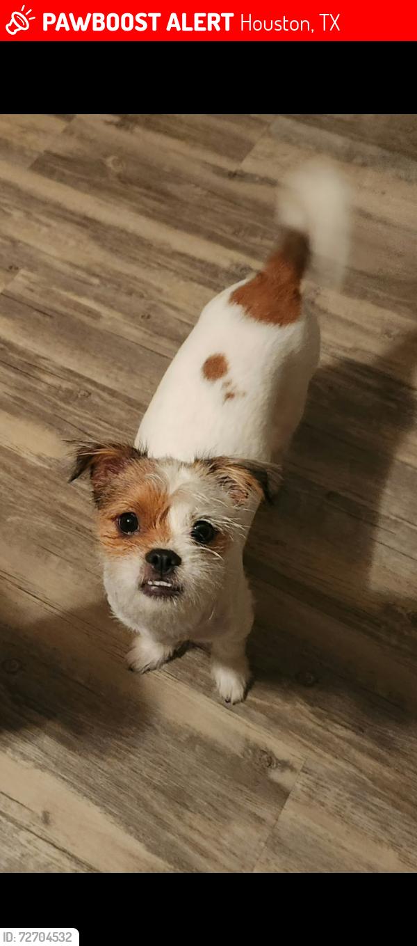 Lost Male Dog last seen Southbluff/ Blackhawk , Houston, TX 77089