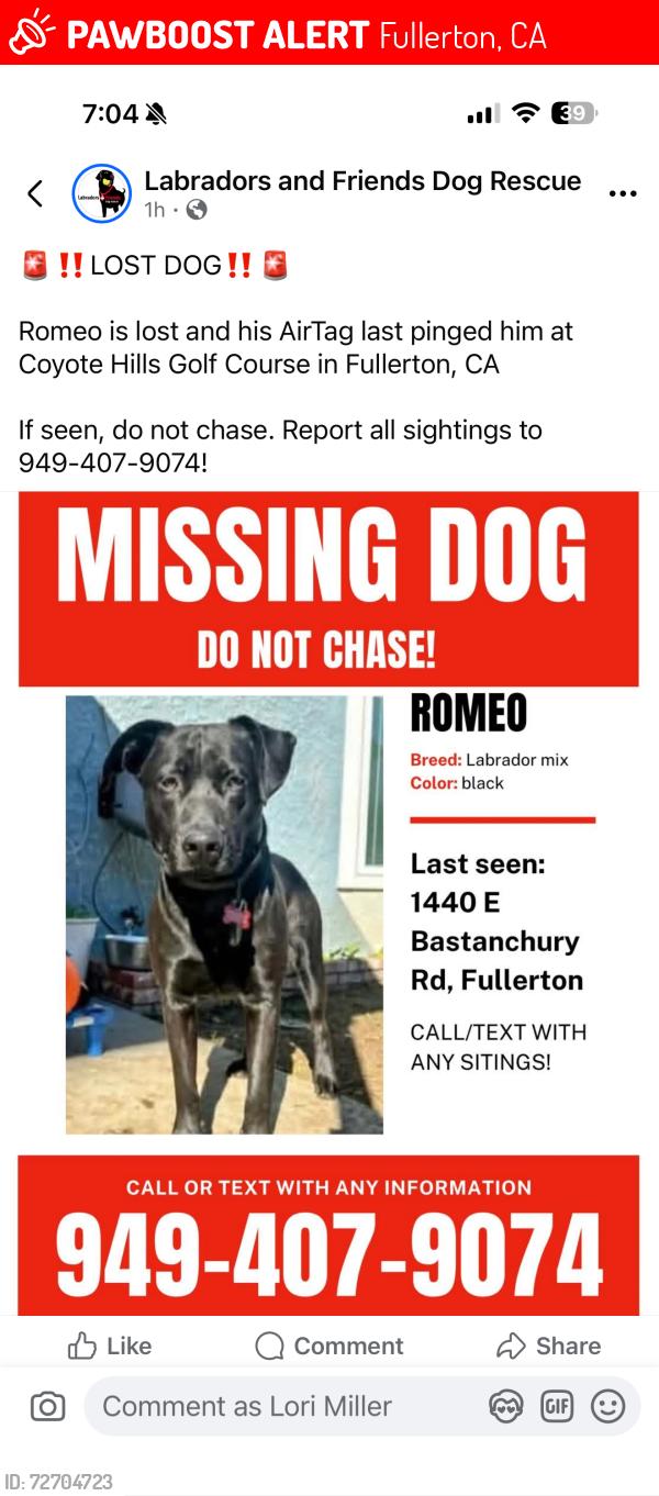 Lost Male Dog last seen Coyote Hills, Fullerton , Fullerton, CA 92835