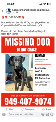 Lost Male Dog last seen Coyote Hills, Fullerton , Fullerton, CA 92835