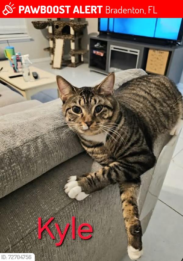 Lost Male Cat last seen 53rd Ave East, Bradenton, FL 34203