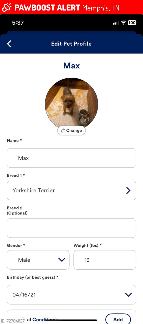 Lost Male Dog last seen Holmes and crumpler, Memphis, TN 38118
