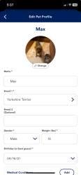 Lost Male Dog last seen Holmes and crumpler, Memphis, TN 38118