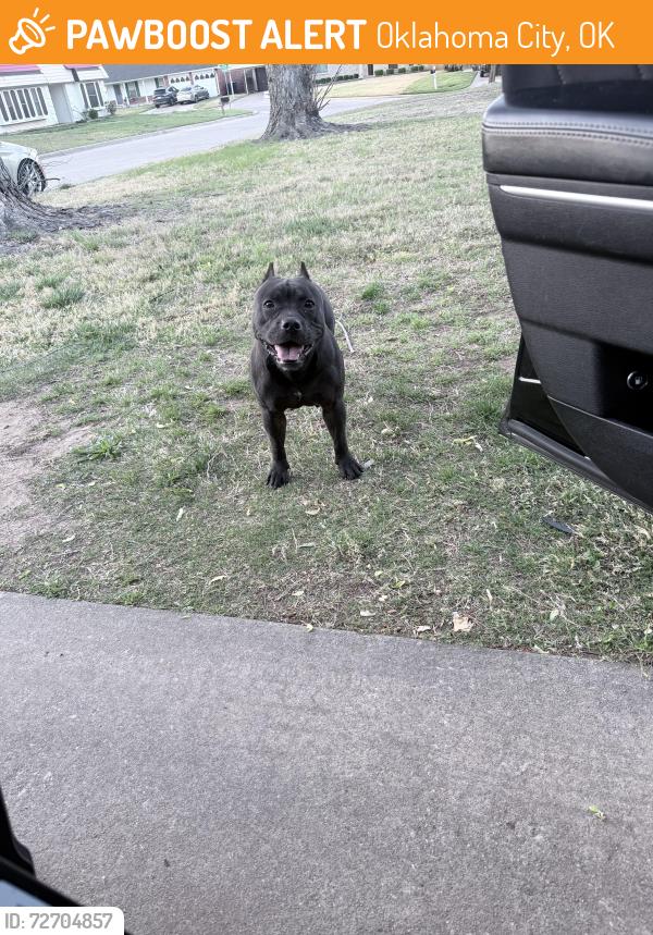Found/Stray Female Dog last seen She was barking in front of my hse , Oklahoma City, OK 73122