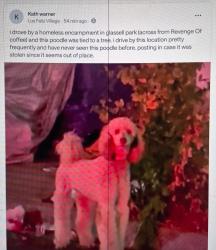 Found/Stray Unknown Dog last seen glassell park, Los Angeles, CA 90065
