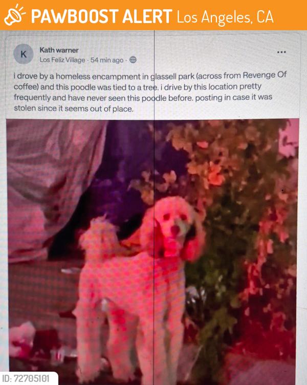 Found/Stray Unknown Dog last seen glassell park, Los Angeles, CA 90065