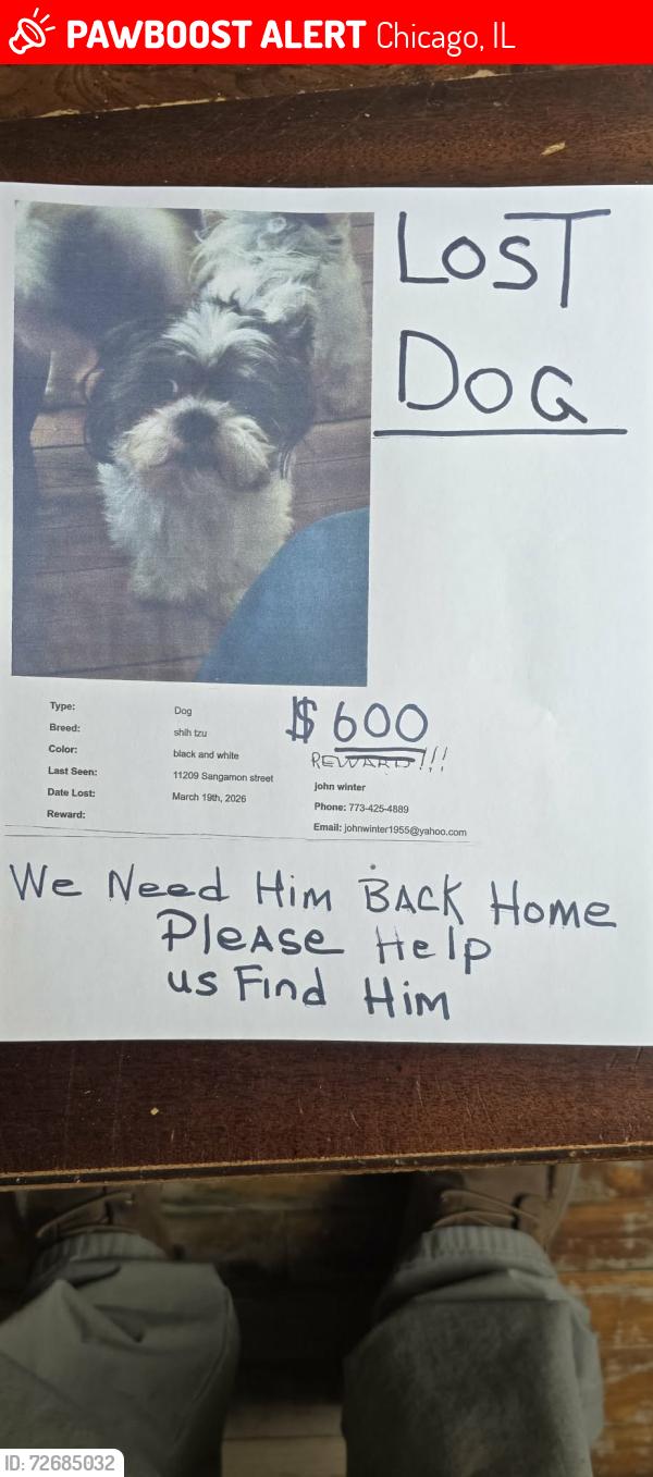 Lost Male Dog last seen 111th and sangamon , Chicago, IL 60643