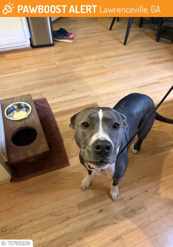 Found/Stray Female Dog last seen Coopers pond Dr, Lawrenceville, GA 30044