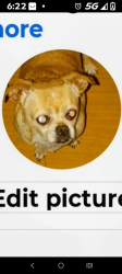 Lost Female Dog last seen Near Lucky's smoke shop Dallas Stanley highway heading towards Stanley, Stanley, NC 28164