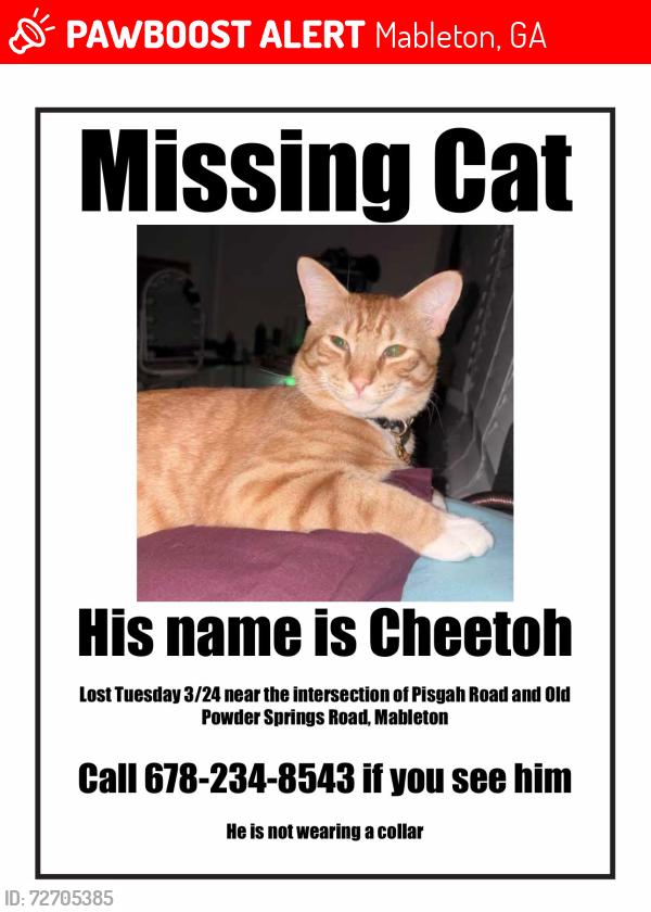 Lost Male Cat last seen Pisgah & Old Powder Springs Rd, Mableton, GA 30126