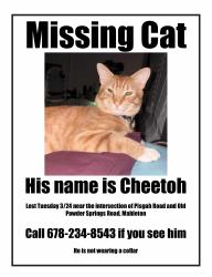 Lost Male Cat last seen Pisgah & Old Powder Springs Rd, Mableton, GA 30126