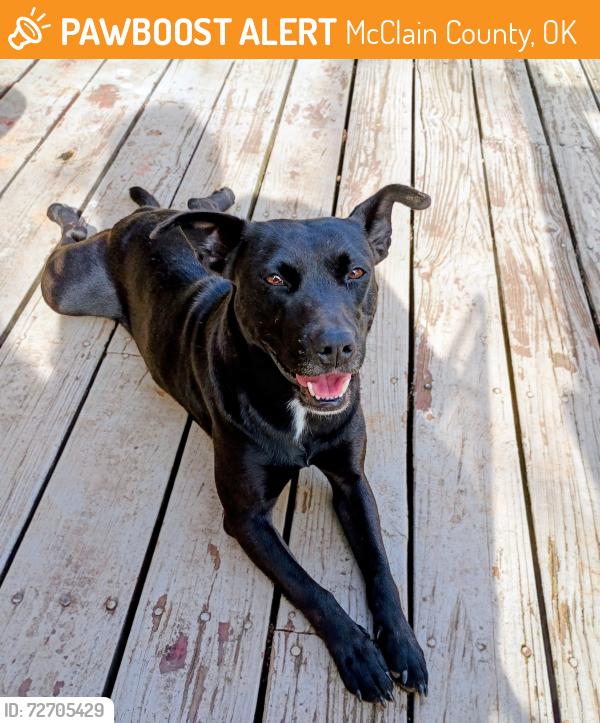 Found/Stray Female Dog last seen E Morehead Ave & OK-24, McClain County, OK 73080
