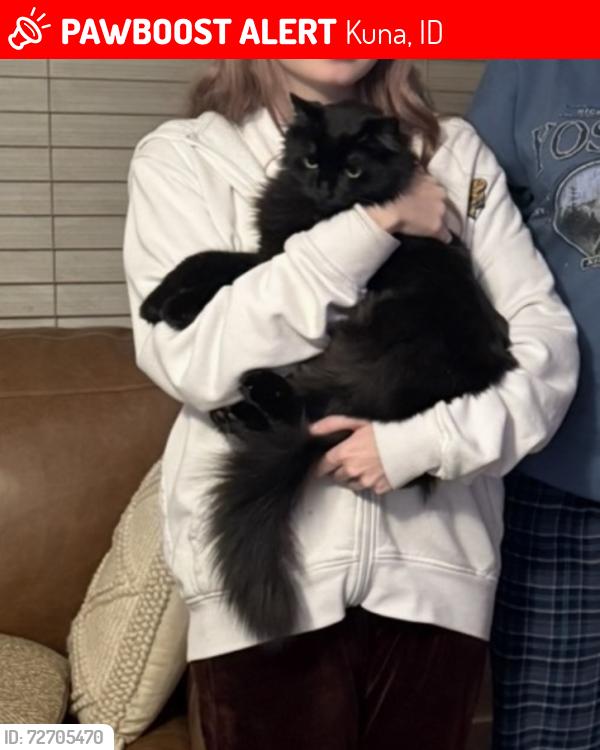 Lost Female Cat last seen Deerflat and N School, Kuna, ID 83634