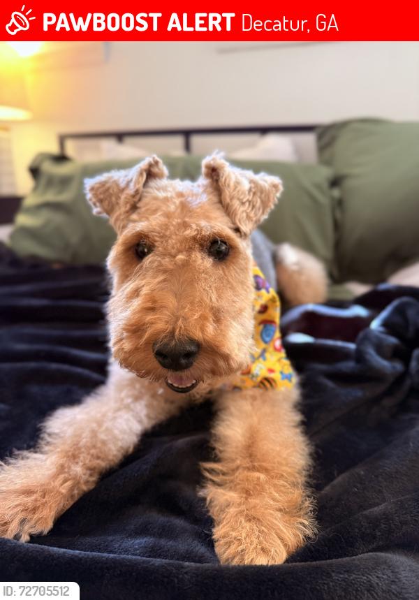 Lost Female Dog last seen Coventry Rd and Chelsea Cicrle, Decatur, GA 30030