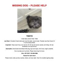 Lost Male Dog last seen ran into woods across road from  1411 crowders creek rd, Gastonia, NC 28052