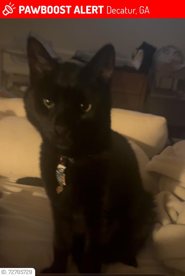 Lost Male Cat last seen Sycamore Park, Decatur, GA 30030