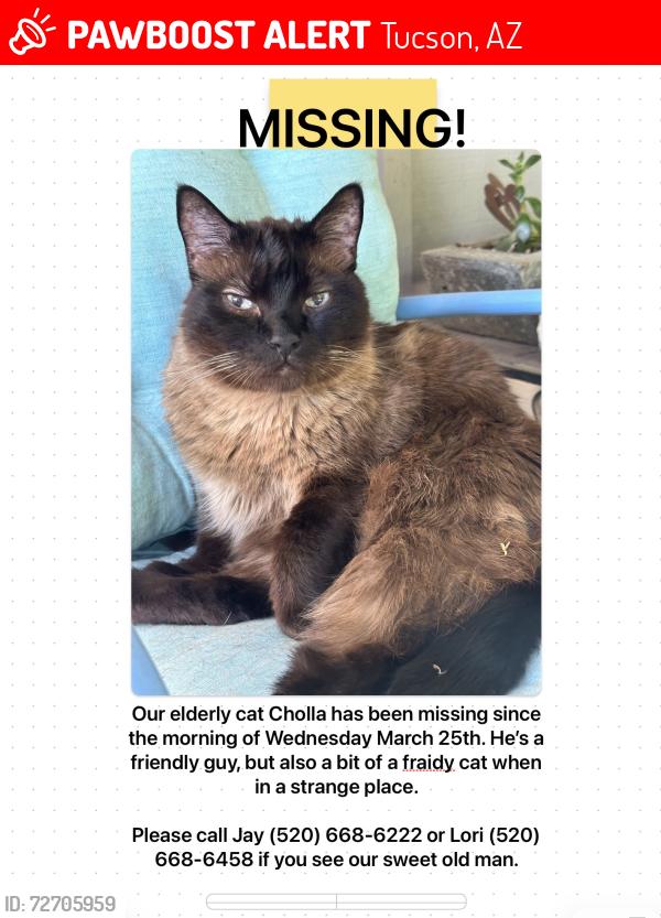 Lost Male Cat last seen Pantano and Seneca, Tucson, AZ 85715