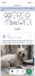 Lost Male Dog last seen Pico train station , Los Angeles, CA 90015