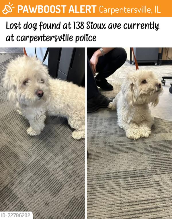 Found/Stray Unknown Dog last seen Helm wood, Carpentersville, IL 60110