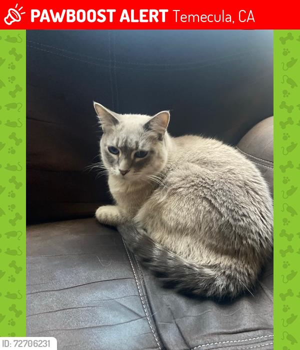 Lost Female Cat last seen Temeku Hills off La Serena, Temecula, CA 92591