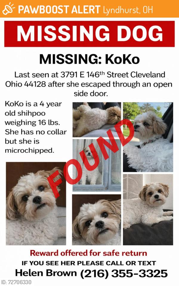 Found/Stray Female Dog last seen Brainard Road , Lyndhurst, OH 44124