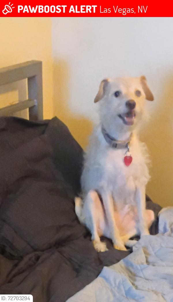 Lost Male Dog last seen On Rancho heading towards Washington, Las Vegas, NV 89108
