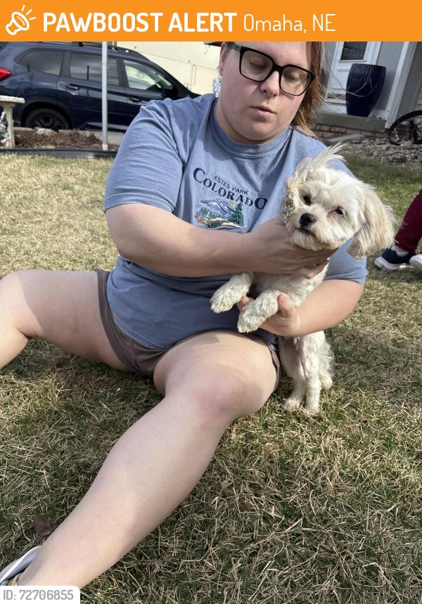 Found/Stray Female Dog last seen Near st & Robin cr, Omaha, NE 68138
