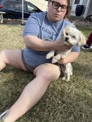 Found/Stray Female Dog last seen Near st & Robin cr, Omaha, NE 68138