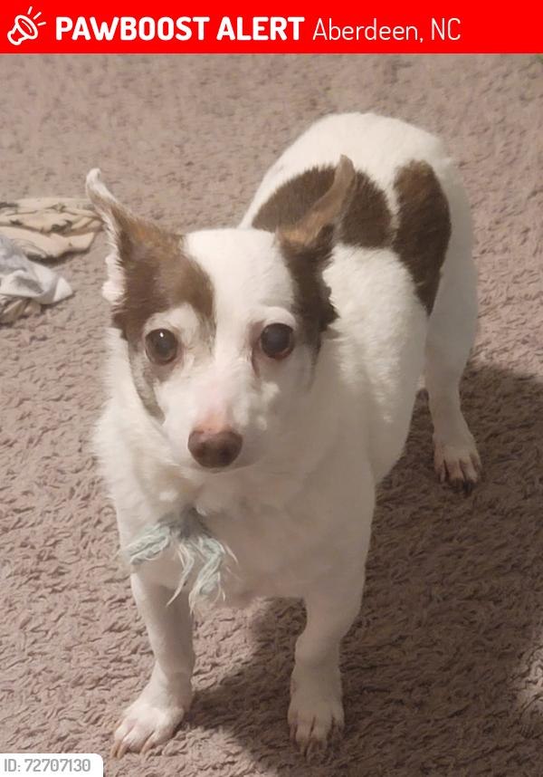 Lost Male Dog last seen Malta Court and Whitney , Aberdeen, NC 28315