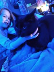 Lost Male Cat last seen Henderson elementary , Cheyenne, WY 82001